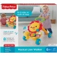 Fisher Price Baby & Toddler Toy Musical Lion Walker Push Along with Lights Sounds