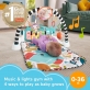 Fisher Price Newborn Baby Kick & Play Gym Green Smart Stages 2024 Playmat With Piano & Tummy Time Toys
