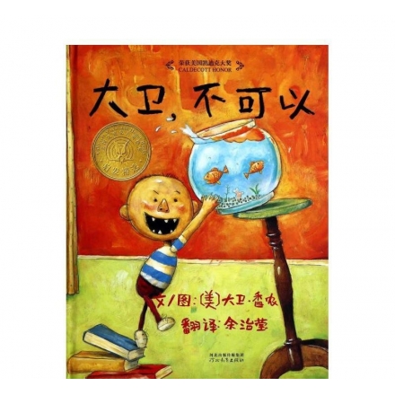 大卫,不可以