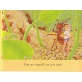 I'm as Quick as a Cricket by Audrey Wood