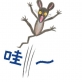 哇！