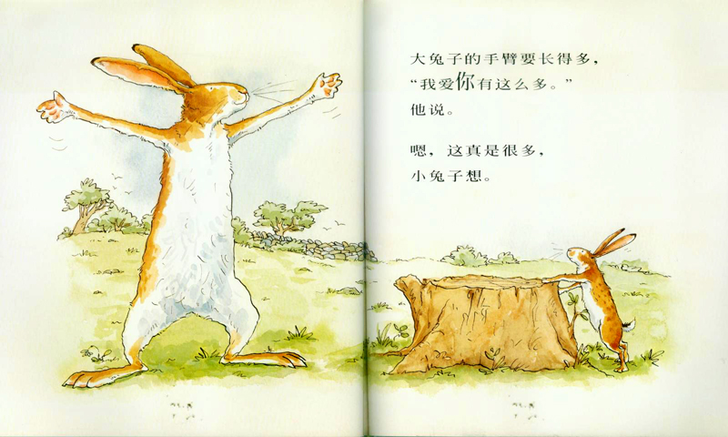 经典绘本睡前故事猜猜我有多爱你
