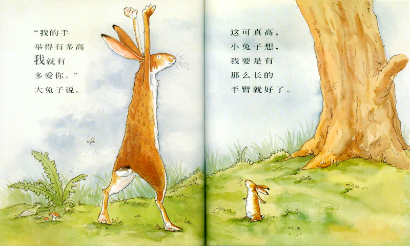 经典绘本睡前故事猜猜我有多爱你