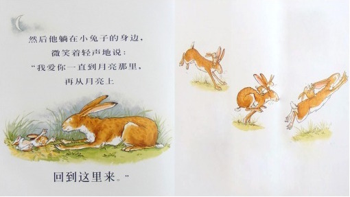 经典绘本睡前故事猜猜我有多爱你