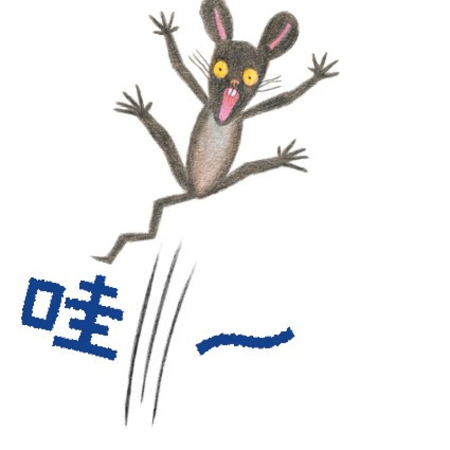 蒲蒲兰绘本 松冈达英 哇