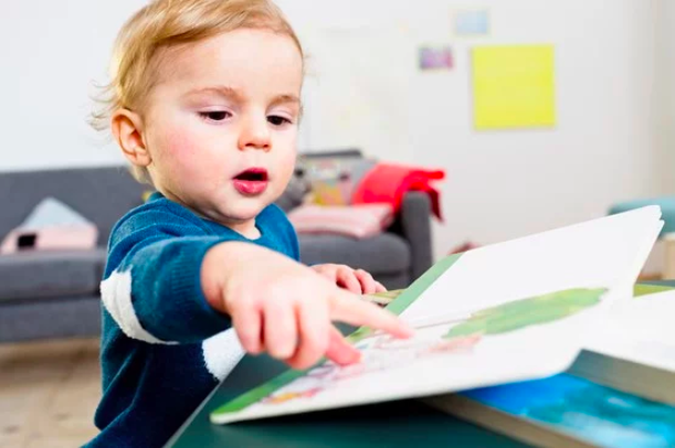 baby's very first library board books first learning series for little one 宝宝学习初学英文词汇