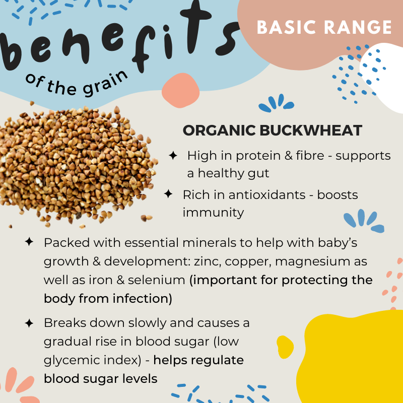 little baby grains natural rice solids food puree 宝宝天然米饭食辅食